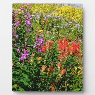 Plaque Photo Fleurs sauvages des Rocheuses