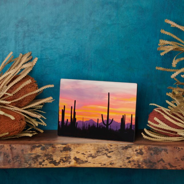 Plaque Photo Forêt de Cactus du Saguaro au coucher du soleil (Côté)