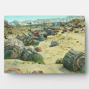 Plaque Photo Forêt pétrifiée