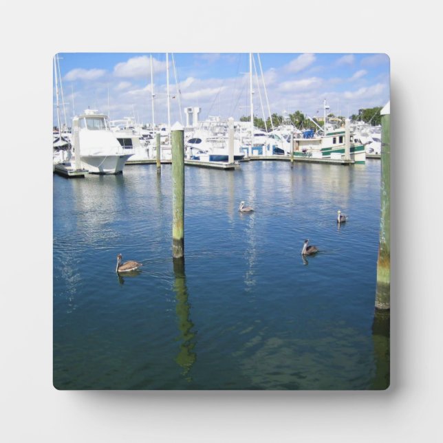 Plaque Photo Fort Lauderdale, Floride (Devant)