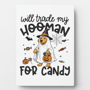 Plaque Photo Funky Golden Dog Halloween Ghost Éffrayant