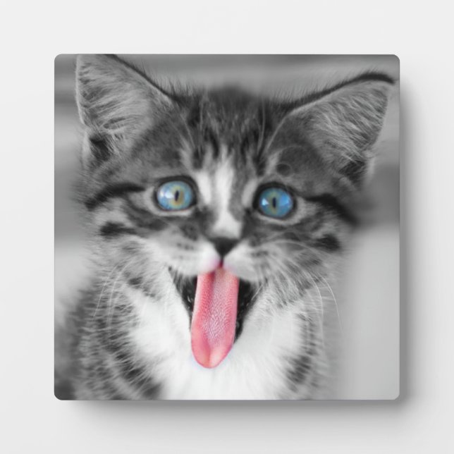 Plaque Photo Funny (Devant)