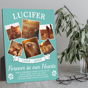 Plaque Photo Garde-mémoire pour animaux turquoises