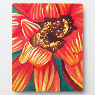 Plaque Photo Gazania desert flower art par Sacha Grossel
