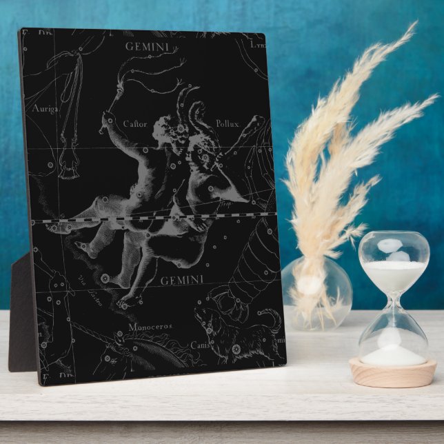 Plaque Photo Gemini Zodiac Constellation Hevelius 1690 (Côté)