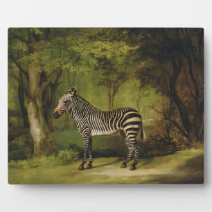 Plaque Photo George Stubbs A Zebra, 1763 (huile sur toile)