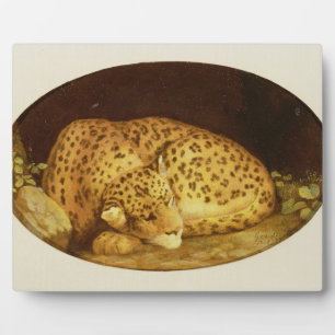 Plaque Photo George Stubbs Léopard dormant, 1777 (émail sur
