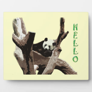 Plaque Photo Giant panda in a wild animal zoo photography.