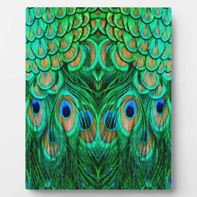 Plaque Photo Glorious Peacock (Devant)