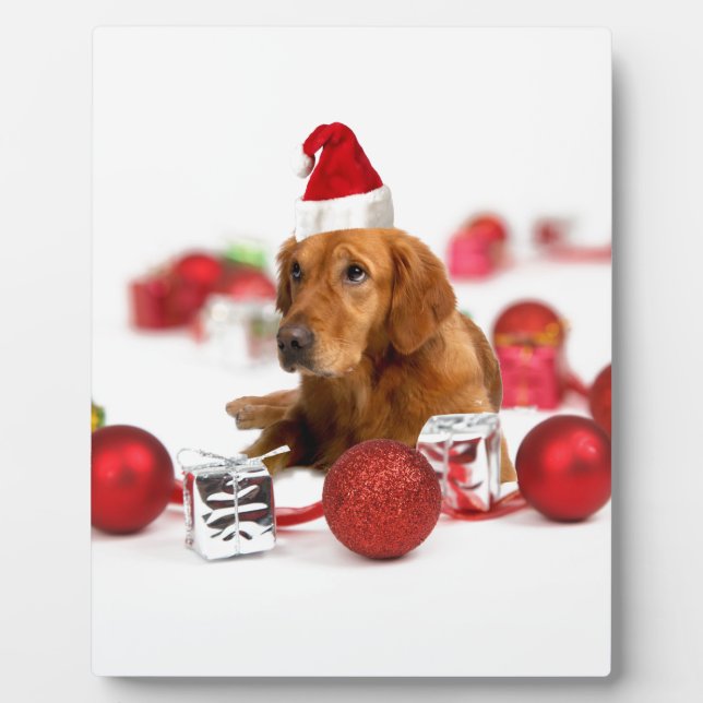 Plaque Photo Golden Retriever Chien W Red Santa Chapel Noël (Devant)