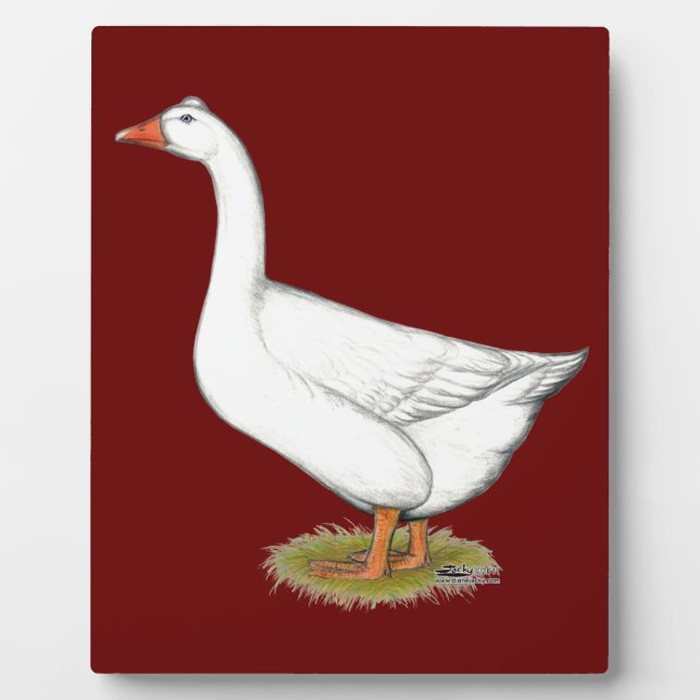 Plaque Photo Goose Roman Tufted (Devant)