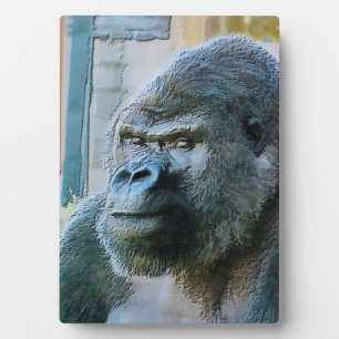 PLAQUE PHOTO GORILLA