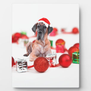 Plaque Photo Grand chien Danois avec ornements de Noël Cadeaux