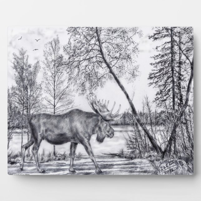 Plaque Photo Grande Plaine d'orignal (Devant)