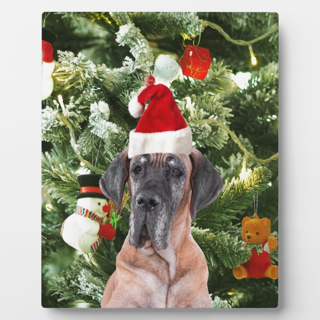 Plaque Photo Great Dane w Christmas Tree Cadeaux Boîtes de Noël (Devant)