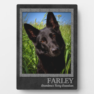 Plaque Photo Gris grand-chien et nom Brown et photo