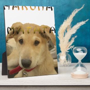 Plaque Photo "Hakuna Matata Pup" - Insouciant Amour des chiots