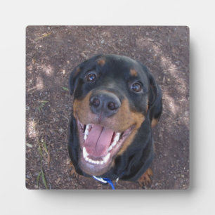 Plaque photo Happy Heidi Rottweiler