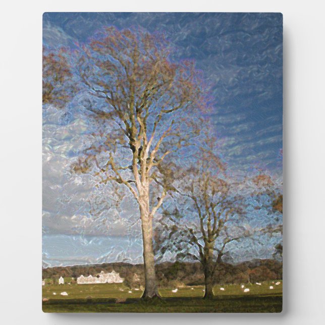 Plaque Photo Hêtre irlandais (Devant)