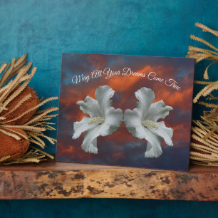 Plaque Photo Hibiscus Fleurs Rêves De Véritable Inspiration