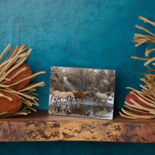 Plaque Photo Hideout Horse Ranch