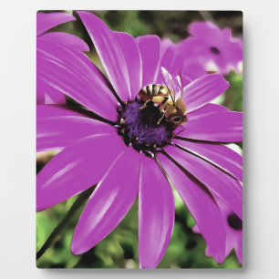 Plaque Photo Honey Bee Sur Un Daisy Africain Violet
