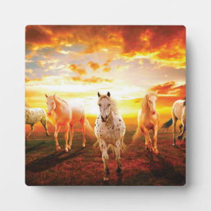 Plaque Photo Horses at sunset throw pillow
