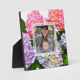 Plaque Photo Hydrangées florales rose pâle bleu jaune vert