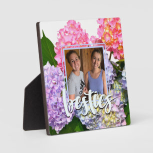 Plaque Photo Hydrangées florales rose pâle bleu jaune vert