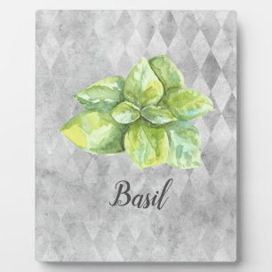 Plaque Photo Illustration aquarelle de Basilic  