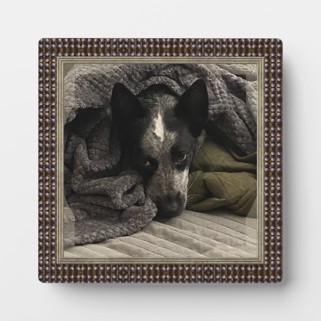 Plaque Photo Image debout avec cadre métallique Faux HAMbWG (Devant)