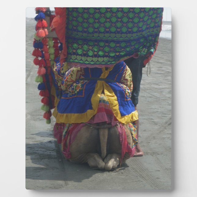 Plaque Photo Imprimé/graphique en forme de chameau (Devant)