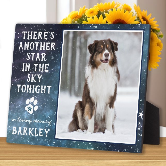 Plaque Photo In Loss Memory Pet Loss Photo Dog Memorial (Créateur téléchargé)
