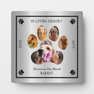 Plaque Photo In Love Memory Photo Pet Memorial - Silver Tone