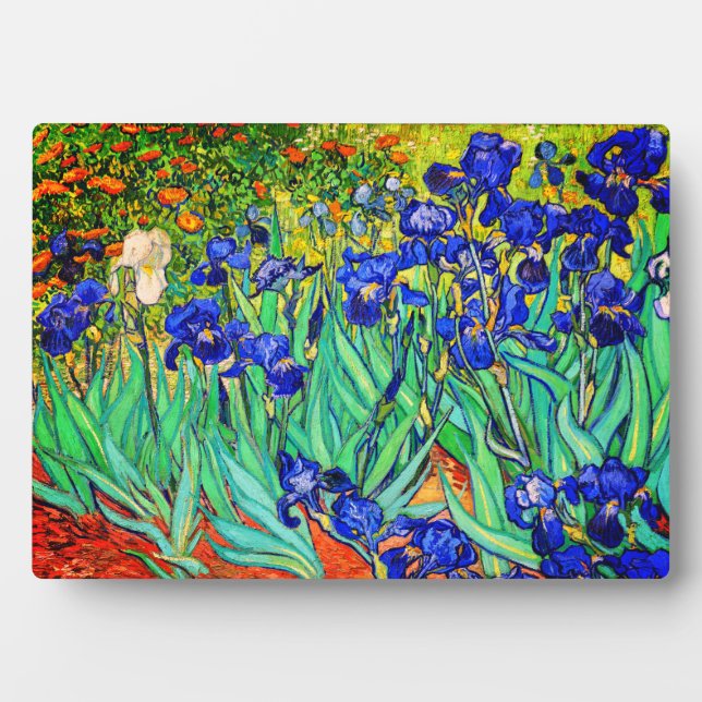 Plaque Photo Irises par Vincent Van Gogh (Devant)