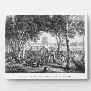 Plaque Photo Islande of Guam : Natives at Work in the Garden of