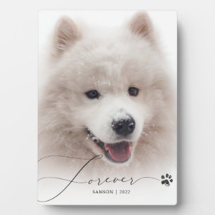 Plaque Photo Jamais   Pet Memorial personnalisé Empreinte de pa