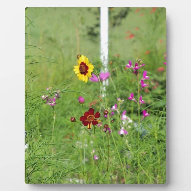 Plaque Photo Jardin fleur sauvage (Devant)