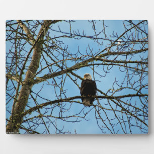 Plaque Photo Je vous regarde