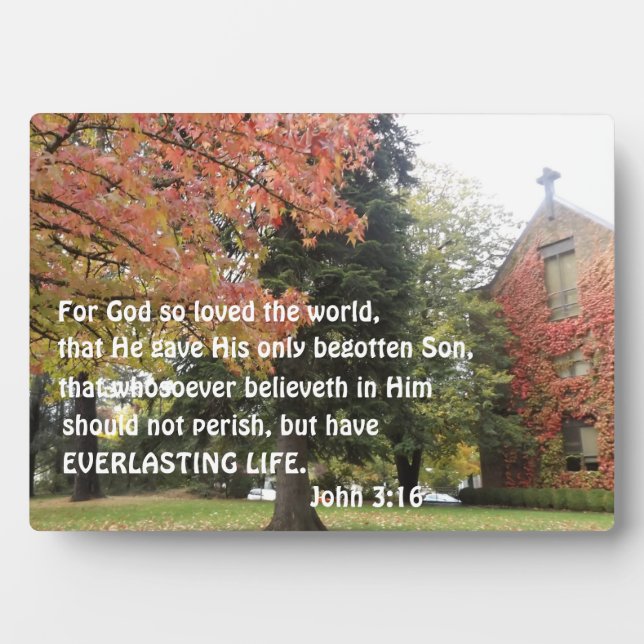 Plaque Photo Jean 3:16 Car Dieu a tant aimé le monde (Devant)