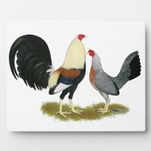 Plaque Photo Jeu gris Paire