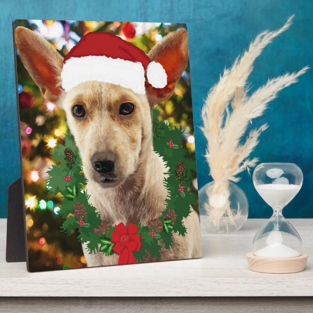 Plaque Photo Joie au chiot (Côté)