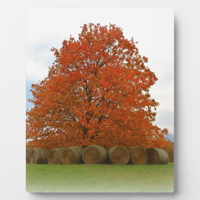 Plaque Photo Jour d'automne (Devant)