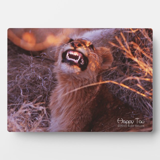 Plaque Photo Joyeux Tau (Devant)