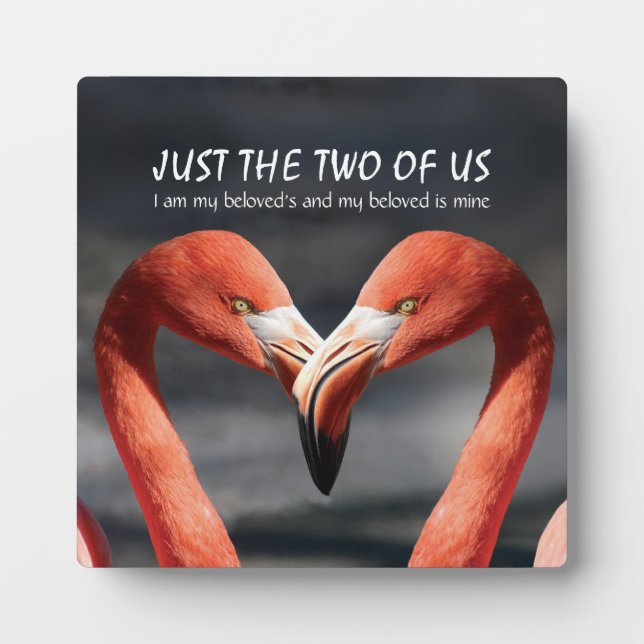 Plaque Photo JUSTE LES DEUX D'ENTRE NOUS Flamant rose Valentine (Devant)