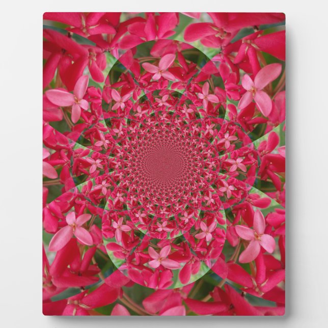 Plaque Photo Kaleidoscope de Crimson : Blood Milkweed Flower Ar (Devant)
