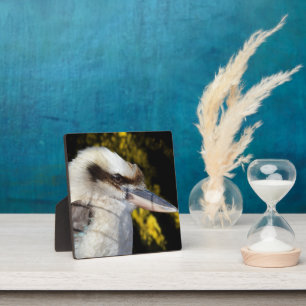 Plaque Photo Kookaburra, aile bleue australienne,
