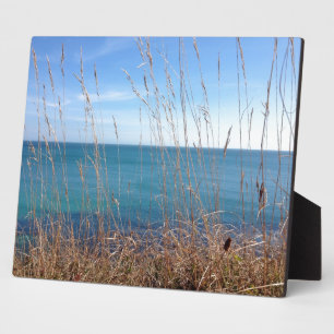 Plaque Photo La belle Herbe et Mer