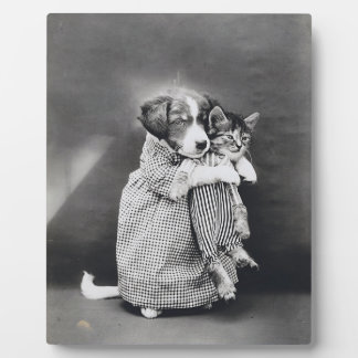 Plaque Photo La Nurse Puppy Kitten Harry Whittier Frees 1914