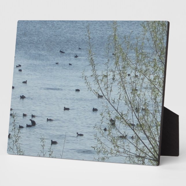 Plaque Photo La plaine des oiseaux du lac (Côté)